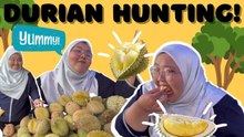 Durian Hunting!