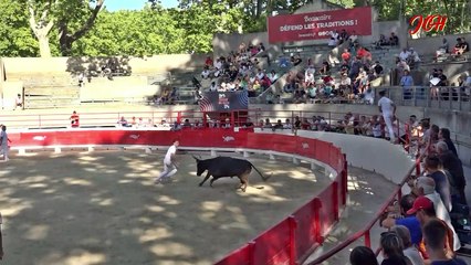 Palme D'Argent Beaucaire 2023