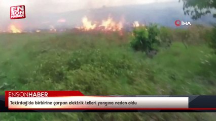 Tekirdağ'da birbirine çarpan elektrik telleri yangına neden oldu