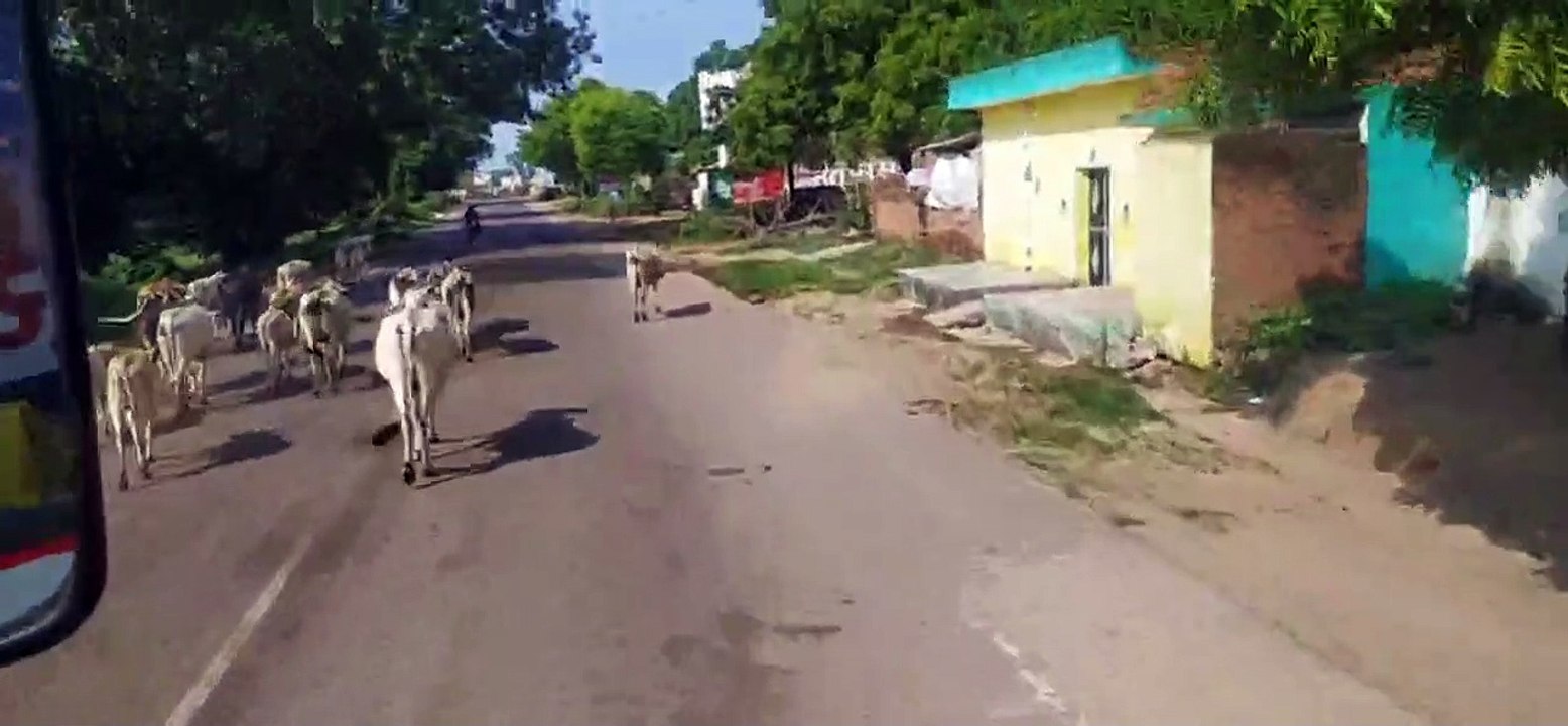 पहले चाकू से गोदा, फिर फरसे से वार कर उतारा मौत...