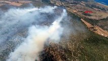 Çeşme'de Orman Yangını: Alevlere Havadan ve Karadan Müdahale Sürüyor