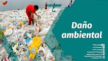 Punto Verde | El uso y daño que causan las bolsas de plástico al medio ambiente