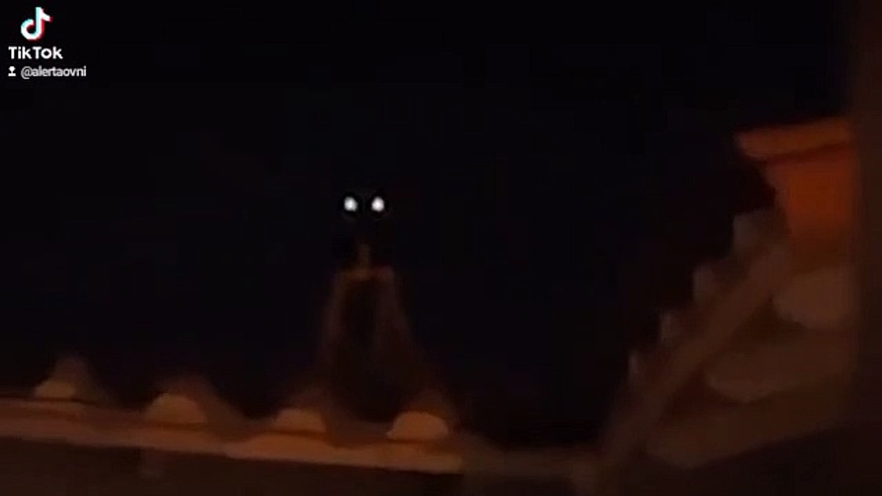 Alien real #ufo