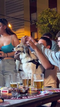 Poils de chien brossés en Rad Mohawk