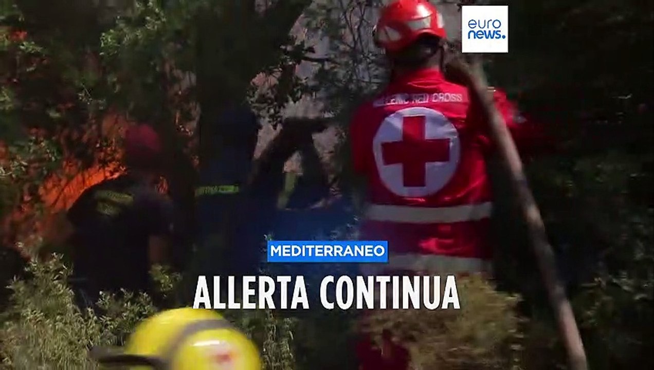 Dopo gli incendi in Grecia e Algeria, restano lo shock e il lutto