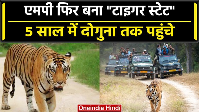 MP फिर बना Tiger State, CM Shivraj Singh Chauhan ने दी बधाई | वनइंडिया हिंदी