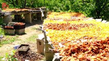 Van'da su sorunu büyüyor: Edremit'te meyve bahçeleri kuruyor, verim kaybı yüzde 80