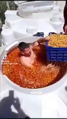 Des images scandaleuses révélées dans la production d'olives