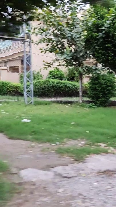 Beautiful Greenery