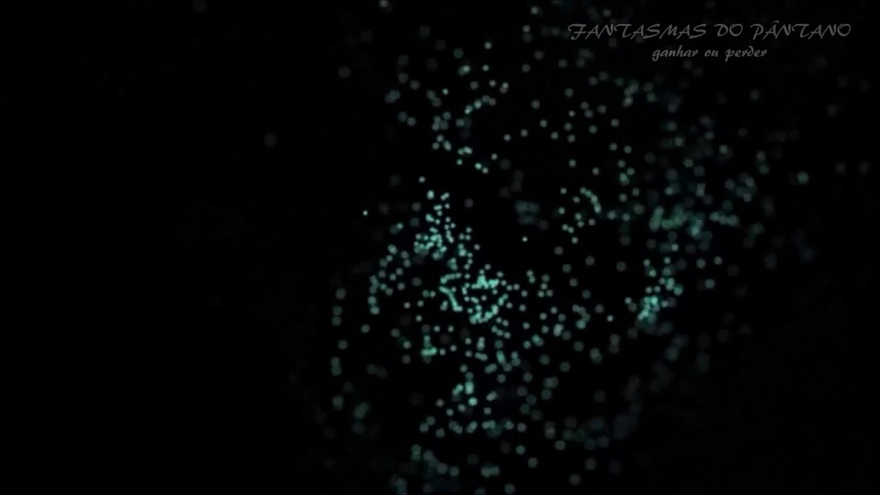 Fantasmas do Pântano - Ganhar ou Perder (Official English Lyric Video)