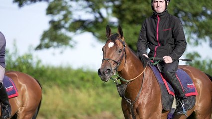 Highfield Princess is Goodwood bound