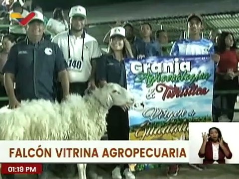 Estado Falcón piloto en la ganadería caprina y ovina impulsando la producción en la entidad