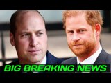 Prince Harry and Prince William are Still at Odds, As Rumors of 