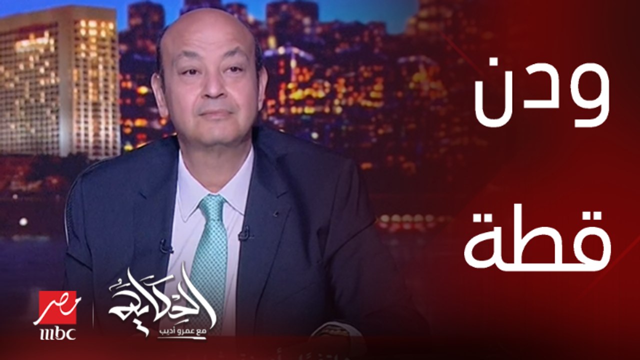 ودن قطة.. جدل بين أمينة شلباية وعمرو اديب حول اتيكيت أكل الاومليت