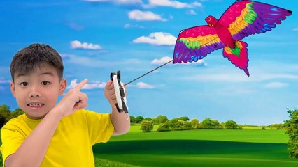 Eric and Ellie Fly Kites at the Park