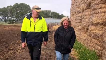 Agriculture is the most dangerous industry to work in, report finds