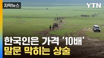 [자막뉴스] 韓 관광객들 '속수무책'…피해 무더기 속출 / YTN