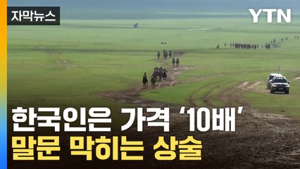 [자막뉴스] 韓 관광객들 '속수무책'…피해 무더기 속출 / YTN