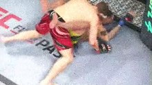Alex Pereira vs jan blachowicz UFC 291 Full Fight