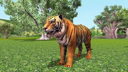 गाय और बाघ की कहानी | The Cow and Tiger Story | Animals