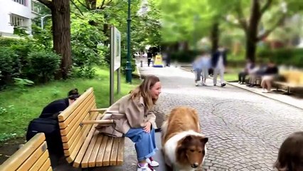 Binlerce dolar harcadı: Border Collie oldu