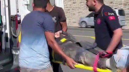 Horasan-Sarıkamış yolunda feci kaza: Ölü ve yaralılar var