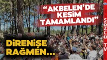 Akbelen'de Direnişe Rağmen Kesim Tamamlandı! Yetkililer Sözcü'ye Açıkladı