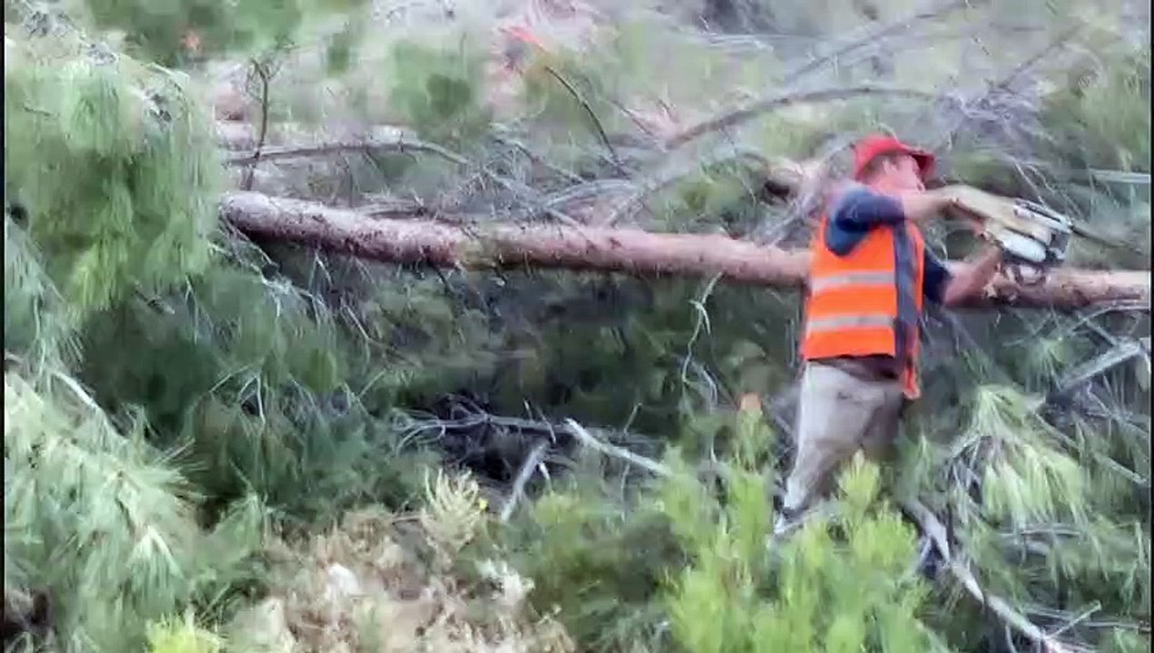 Direniş bir haftayı geride bıraktı: Akbelen'de köylülerden ağaç kesenlere: Size cellatlık yaptırıyorlar