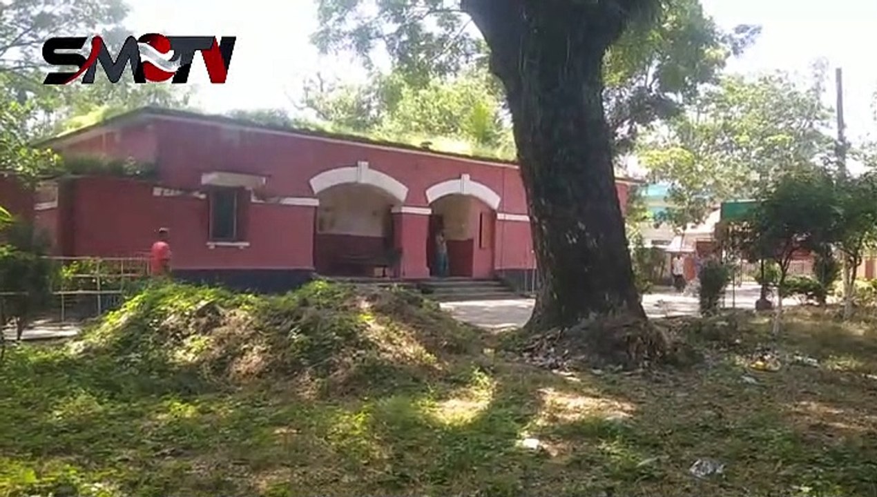 গাছের ডালে ঝুলে ঝুলে ঘুমায় বাদুড়