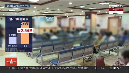 말라리아 환자 2.5배 늘어…한여름 모기 주의보