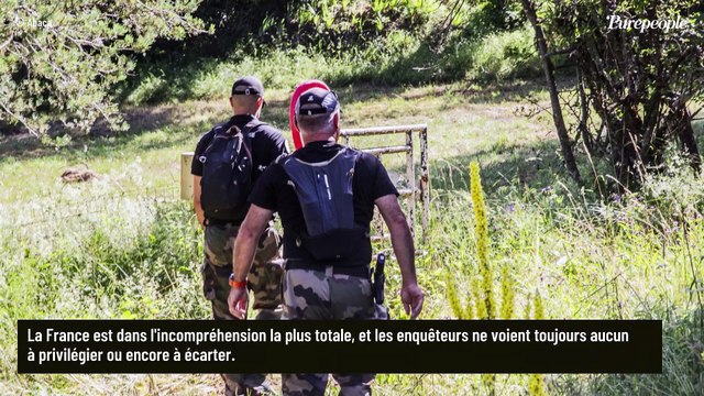 Disparition d'Émile, 2 ans et demi : Une correction qui... , ce scénario familial avancé qui donne des frissons