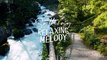Peaceful Peaceful Music - Serene Soundscape ｜ Relaxation Therapy ｜ Stress-Free Living