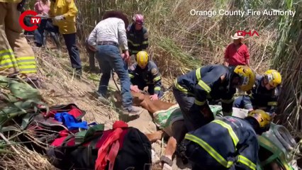 ABDde düşerek yaralanan at, helikopterle götürüldü