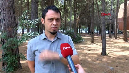 Kum sinekleri birçok hastalığa sebep oluyor