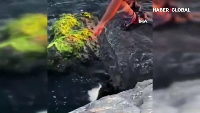 İstanbul'da oltaya takılan balık şaşkına çevirdi: Bu yenir mi?
