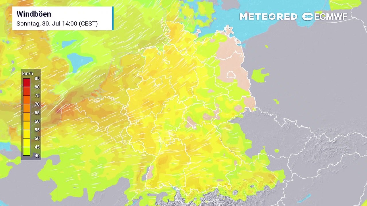 Stürmisch geht es in den August hinein! Deutschland bekommt mitten im Sommer Hetbstwetter!