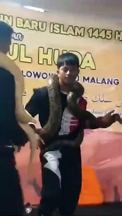Ular joget