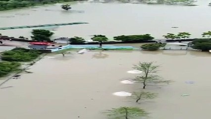 Le typhon Doksuri inonde le zoo