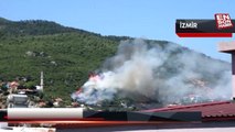 İzmir'in iki ilçesinde orman yangını: Kemalpaşa ve Güzelbahçe alevlere teslim oldu