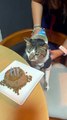 Birthday Cat Gets Cake to the Face