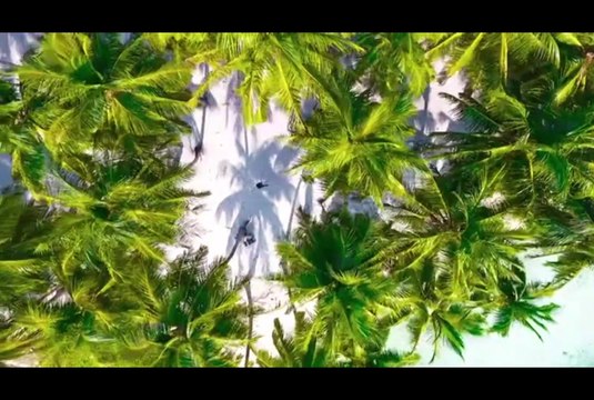 Three days in the Maldives || Maldives Volg || Travel Guides