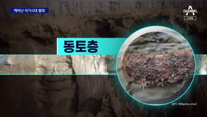 4만 년 전 벌레 ‘꿈틀’…고대 바이러스도 부활?