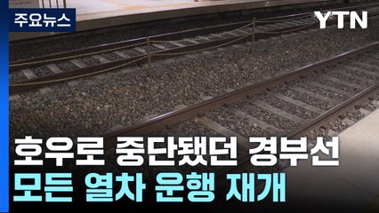 호우로 중단됐던 경부선 상·하행 모든 열차 운행 재개 / YTN