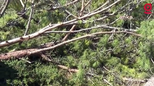 Akbelen’de ağaçların kesilmesine karşı çıkan İkizköylülerin eylemi 7. gününde sürüyor