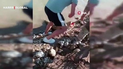 Görenleri hayrete düşürdü! Sazan beklerken oltaya 2 metrelik yayın balığı takıldı... Karaya böyle çektiler