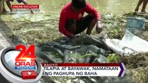 Sako ng tilapia at bayawak, namataan kasunod ng paghupa ng baha sa Ilocos Norte | 24 Oras Weekend
