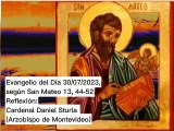 Evangelio del Día 30/07/2023, según San Mateo 13, 44-52 - Cardenal Daniel Sturla