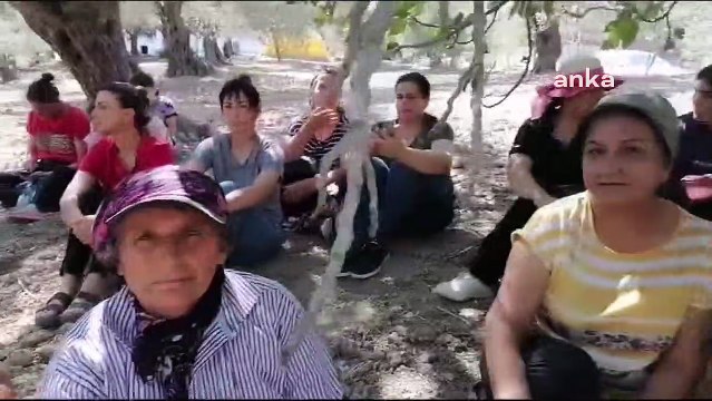 Antakya'da zeytinlik ve tarım arazisine TOKİ yapımına karşı nöbet eylemi