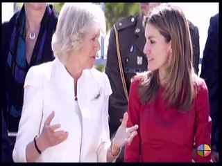 Protocolo oficial. Visitas oficiales y de Estado. Preparativos previos y desarrollo de los actos