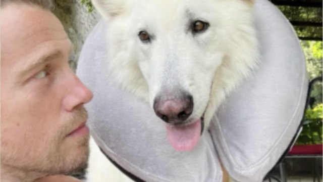 GALA VIDEO - PHOTO - Julien Doré reconnaissant : son chien Jean-Marc est sain et sauf après 4 jours d’hospitalisation